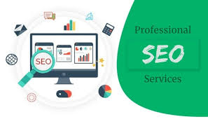 professional search engine optimisation