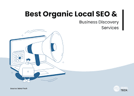 local organic seo