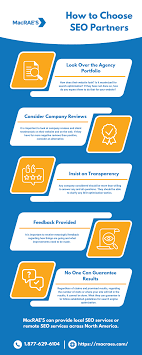 seo partners