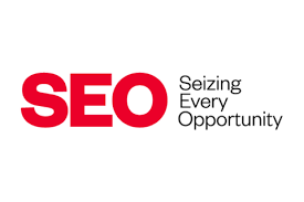 seo development